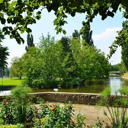 Le Petit Au Coeur De Vichy